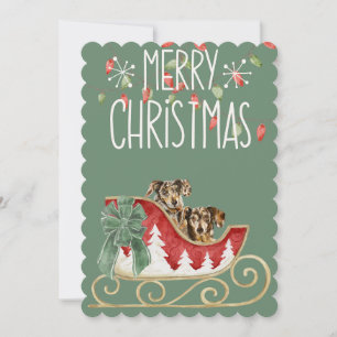 Weihnachtskarte Long Hair Dachsund Feiertagskarte