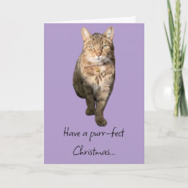 Weihnachtskarte mit bezaubernder Tischkatze Dankeskarte