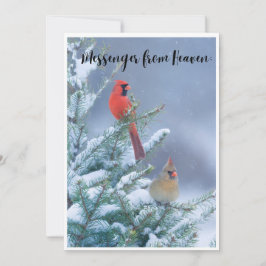 Weihnachtskarte mit einem roten Kardinal Feiertagskarte