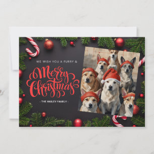 Weihnachtskarte mit festlichem Haustierfoto Feiertagskarte
