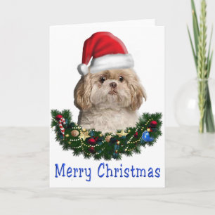 Weihnachtskarte mit Hund Feiertagskarte