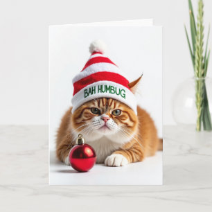 Weihnachtskarte mit irritierter Katze Karte