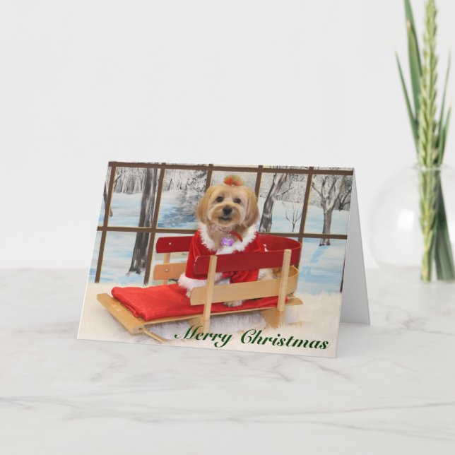 Weihnachtskarte mit Joey Feiertagskarte (Vorderseite)