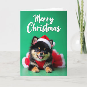 Weihnachtskarte mit lächelndem Haustier Karte
