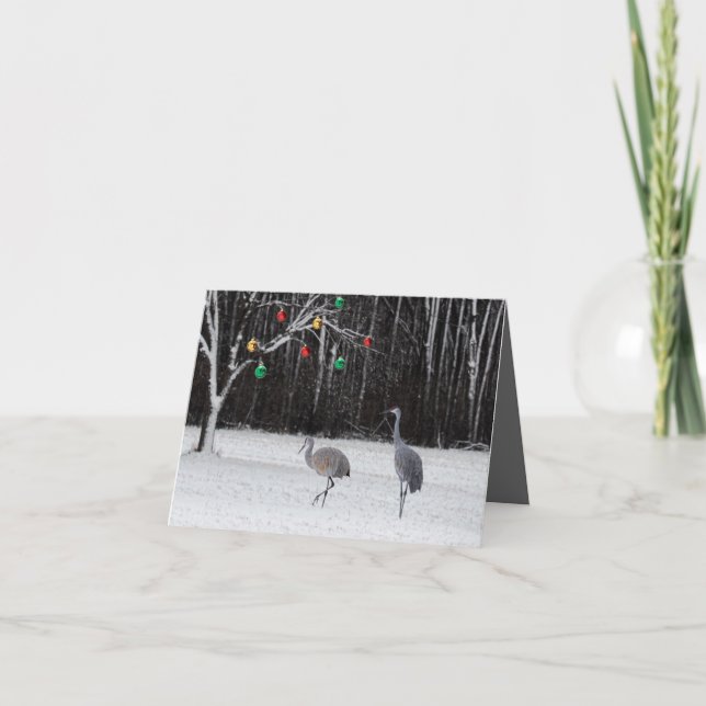 Weihnachtskarte mit Sandhill-Kranen Feiertagskarte (Vorderseite)