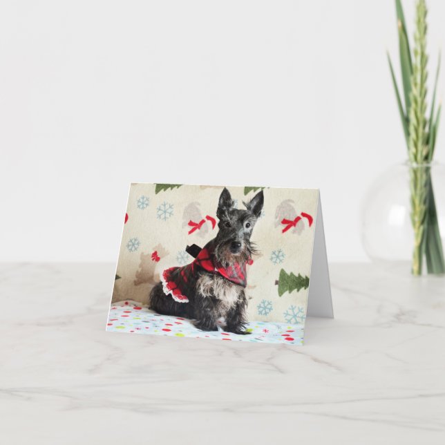 Weihnachtskarte mit Santa Paws (mit Text) Karte (Vorderseite)