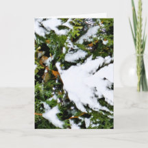 Weihnachtskarte mit Schnee auf Zweigen