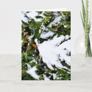 Weihnachtskarte mit Schnee auf Zweigen Karte