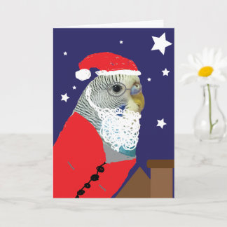 Weihnachtskarte mit Sittich als Weihnachtsmann Karte