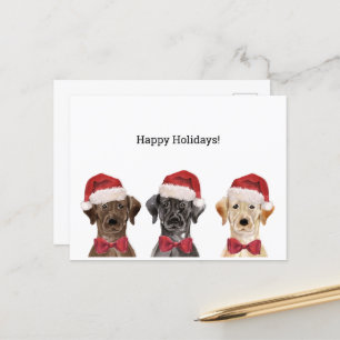Weihnachtskarte mit Three Labrador Postkarte