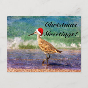 Weihnachtskarte mit Vogel im Santa-Hut am tropisch Feiertagspostkarte