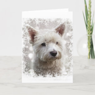 Weihnachtskarte mit Westie Feiertagskarte