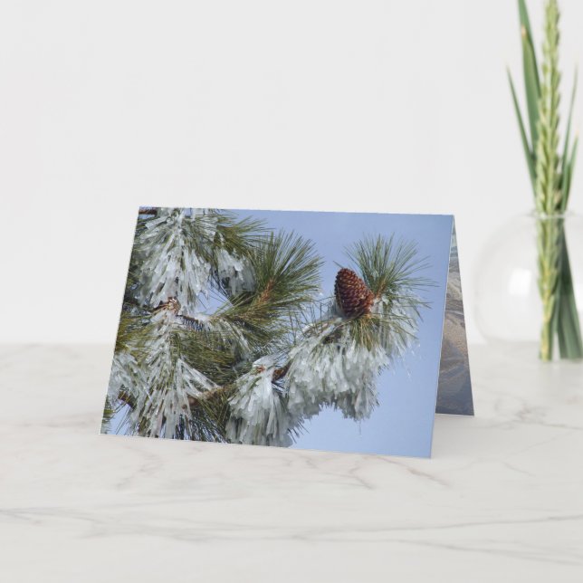 Weihnachtskarte - Pinecone Feiertagskarte (Vorderseite)