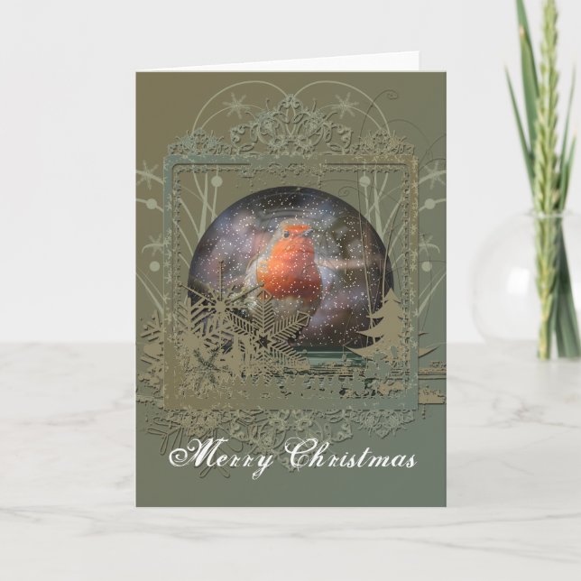 Weihnachtskarte Robins Snowglobe Feiertagskarte (Vorderseite)