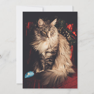 Weihnachtskarte Smilla V1 Feiertagskarte