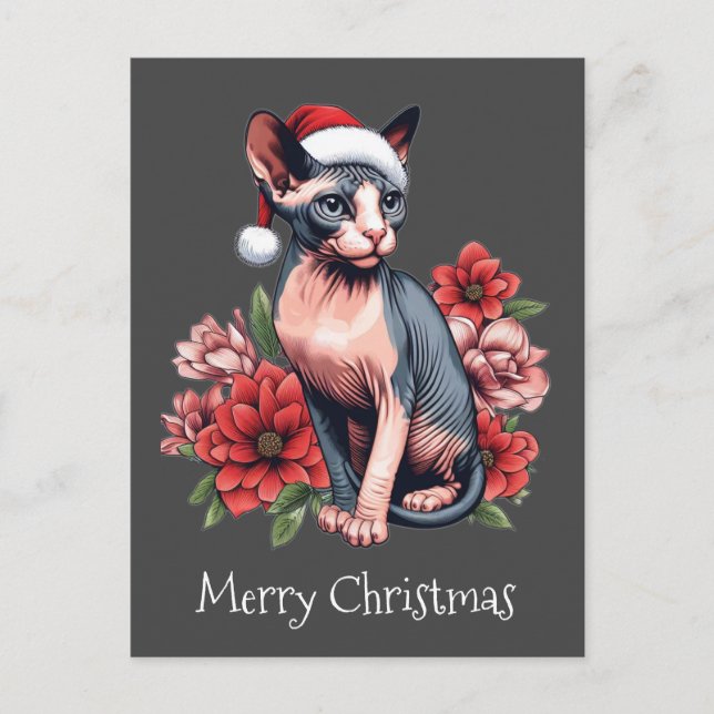 Weihnachtskarte | Sphynx Cat Tragen einer Weihnach Postkarte (Vorderseite)