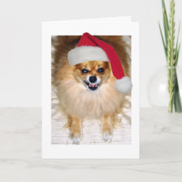 Weihnachtskarte | Spitz Santa Dog Feiertagskarte