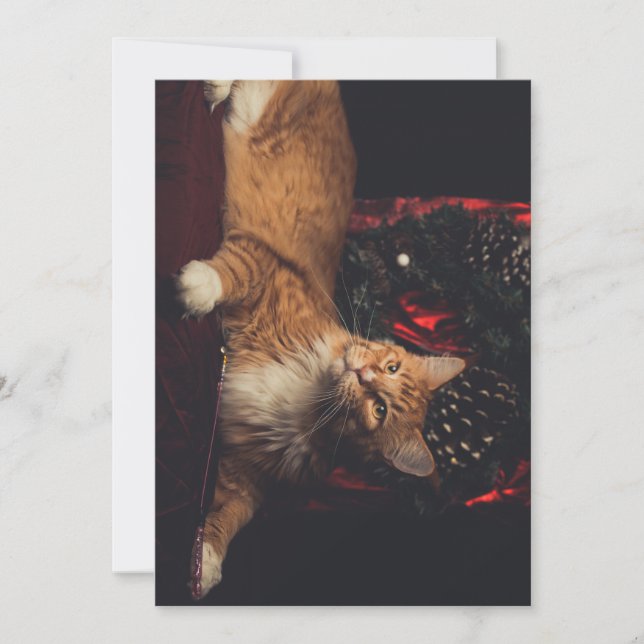 Weihnachtskarte Tarzan V1 Feiertagskarte (Vorderseite)