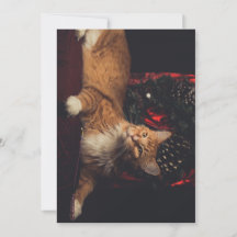 Weihnachtskarte Tarzan V1