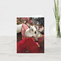 Weihnachtskarte, Weihnachtsbunny Jos Hot Mess Card