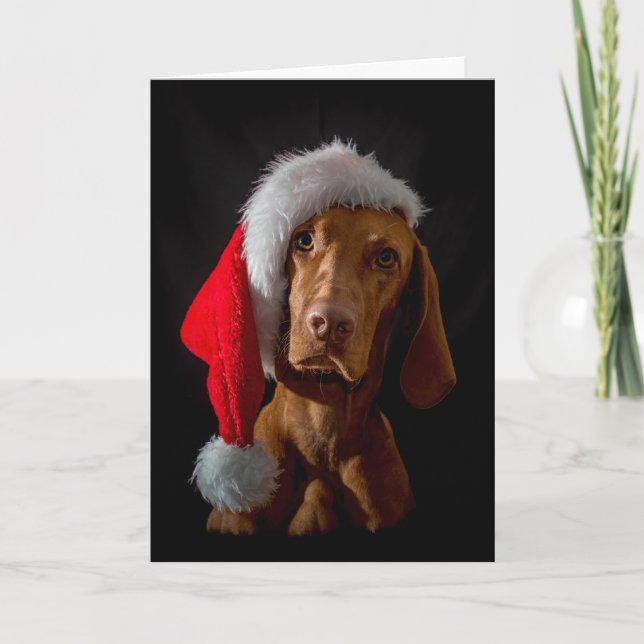 Weihnachtskarte / Weihnachtskarte "Magyar Vizsla" Feiertagskarte (Vorderseite)
