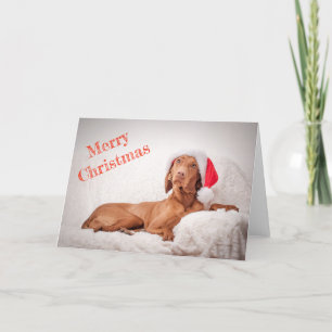Weihnachtskarte / Weihnachtskarte "Magyar Vizsla" Feiertagskarte