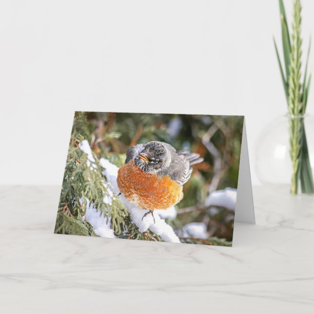 Weihnachtskarte Winter-Rotkehlchen Feiertagskarte (Vorderseite)