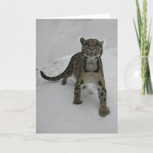 Weihnachtskarte - Wolkenleopard Feiertagskarte