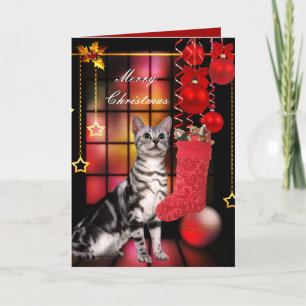 Weihnachtskarte Xmas Katze Feiertagskarte