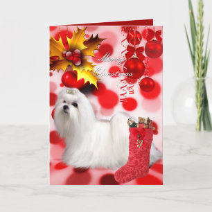 Weihnachtskarte Xmas Malteser Hund Welpe Herzen Feiertagskarte