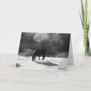 Weihnachtskarten 2012 feiertagskarte