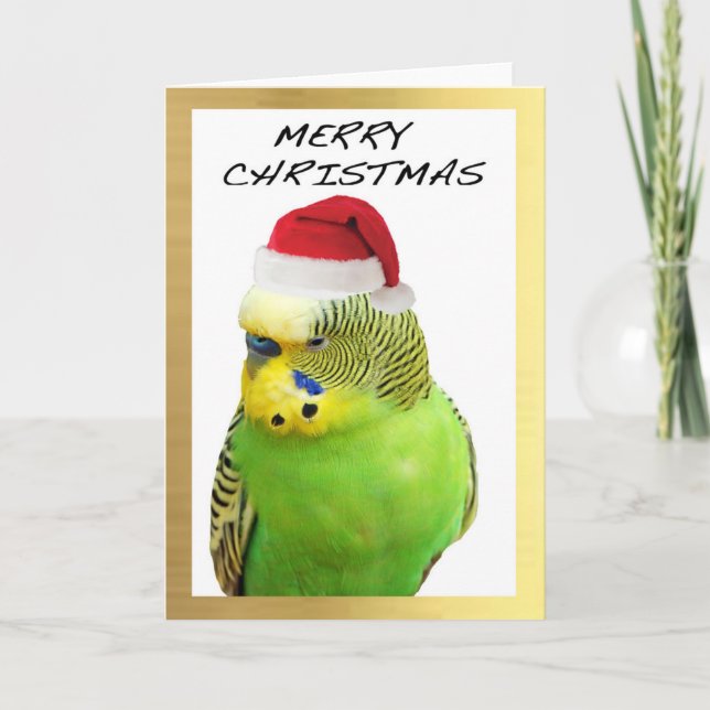 Weihnachtskarten der "Niedlichen Budgie" Feiertagskarte (Vorderseite)