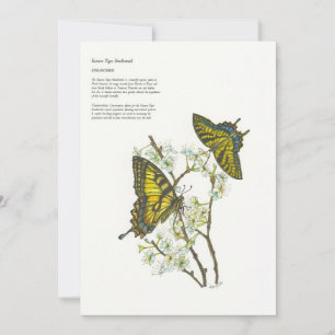 Weihnachtskarten Feiertagskarte