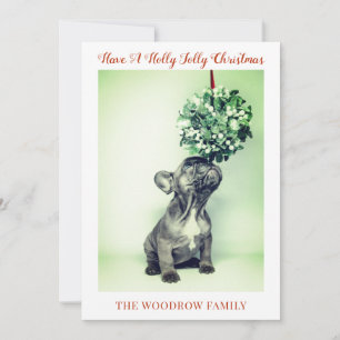 Weihnachtskarten für Hunde