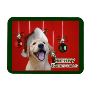Weihnachtskarten-Geschenke mit Golden Retriever Magnet