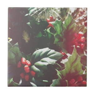 Weihnachtskatctus Fliese