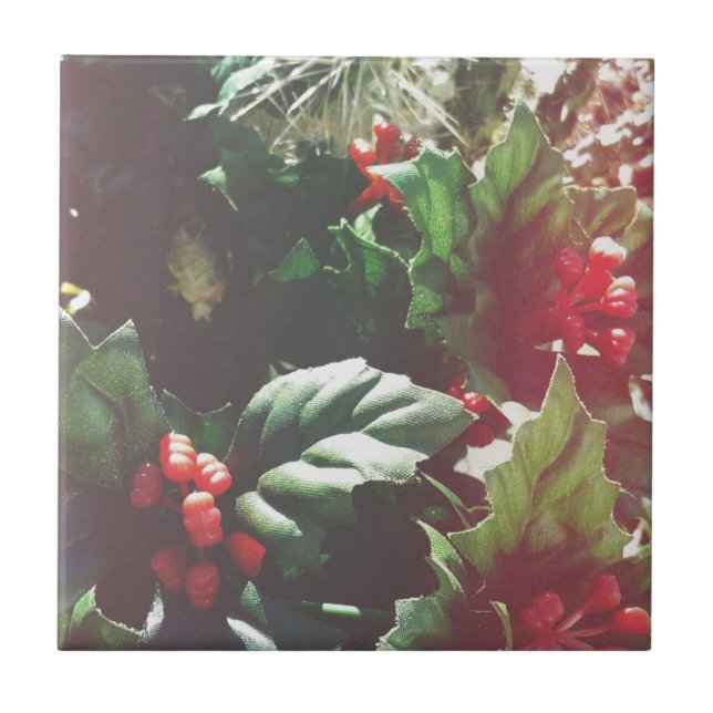 Weihnachtskatctus Fliese (Vorderseite)