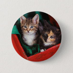 Weihnachtskätzchen Button