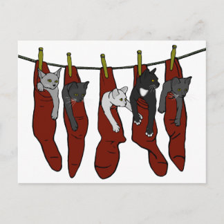 Weihnachtskätzchen | Chatons de Nöel Postcard Postkarte