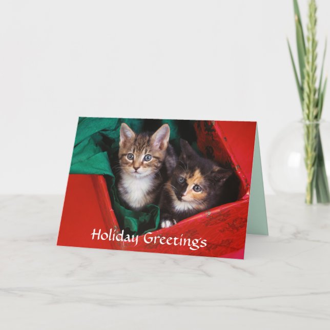 Weihnachtskätzchen Feiertagskarte (Vorderseite)