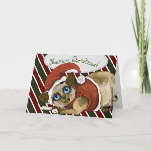 Weihnachtskätzchen Feiertagskarte