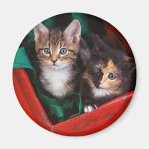 Weihnachtskätzchen Magnet