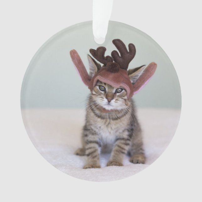 Weihnachtskätzchen Ornament (Vorderseite)