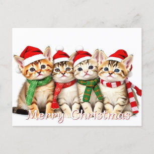 Weihnachtskatzchen Pet Lover Postkarte