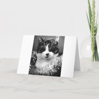 Weihnachtskatze Feiertagskarte