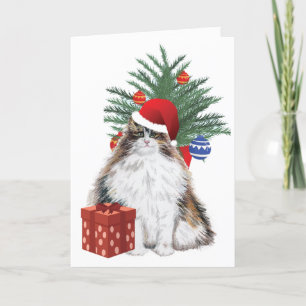 Weihnachtskatze Feiertagskarte