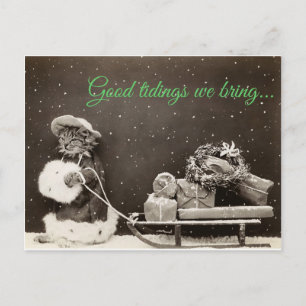 Weihnachtskatze Feiertagspostkarte