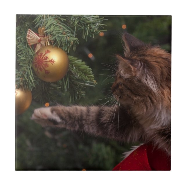 Weihnachtskatze Fliese (Vorderseite)