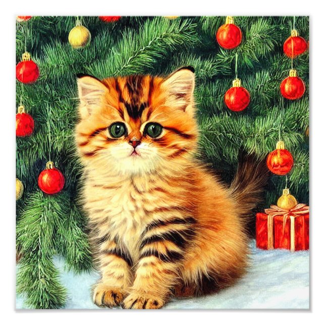 Weihnachtskatze Fotodruck (Vorne)