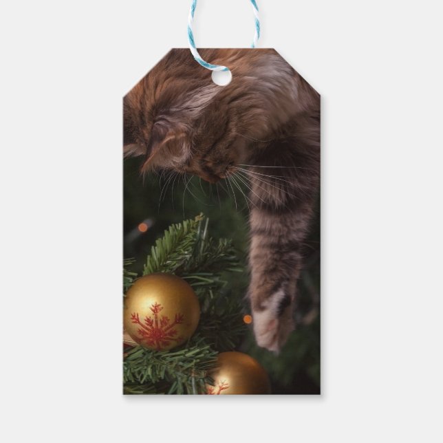 Weihnachtskatze Geschenkanhänger (Vorderseite)